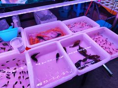 -中环花鸟鱼虫市场