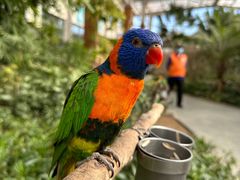 -南宫五洲植物乐园