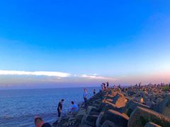 -南汇嘴观海公园