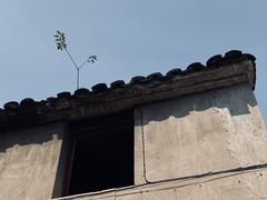 -东梓关景区村庄