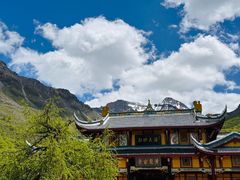 -黄龙山原始森林景区