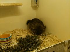 -龙猫仔乐园(惠福东路店)