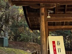 -奈良公园