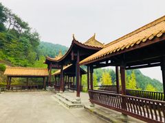 -铁山坪森林公园