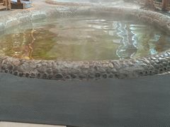 -红栌温泉山庄生态美食餐厅