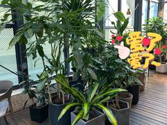 -大树餐厅(红旗街万达店)