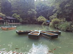 -灵栖洞天