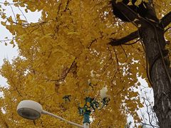 -南宫温泉水世界