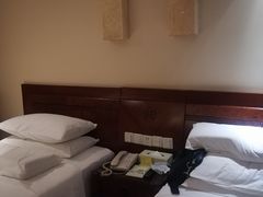 -维也纳国际酒店·西安大雁塔大唐不夜城店