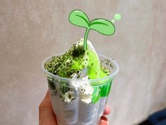 香香香菜新地-麦当劳(静安寺店)