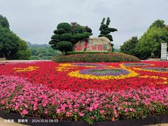 -洛龙公园