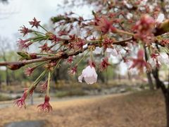 -北京小汤山医院体检中心