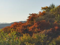 -北京西山国家森林公园