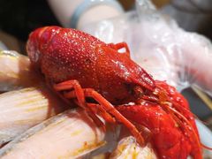 -爱妻鱼•老体北重庆水煮鱼•川菜(白云路店)