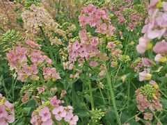 -中国天府农业博览园