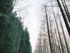 -山王坪喀斯特国家生态公园