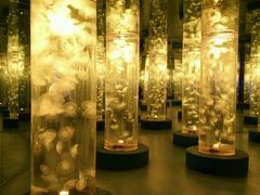-梦幻海洋王国(吾悦广场张家港店)