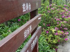 -仙岳公园