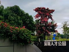 -深圳人才公园
