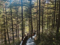-苏木山森林公园