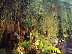 -Fern Forest Cafe