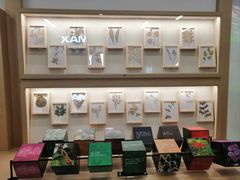 -浙江自然博物院(杭州馆)