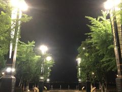 -燕鸣岛