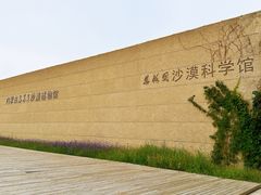 -恩格贝生态旅游区