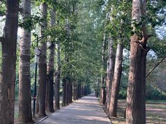 -廊坊市自然公园