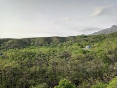 -北京鹫峰国家森林公园