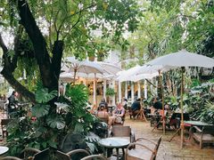 -Fern Forest Cafe