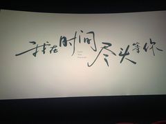 -天津美亚HeyLED影城(天津水游城店)