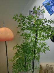 -变美丽半永久纹眉连锁·机器野生眉•洗眉