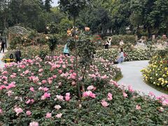 -人民公园(罗湖区)