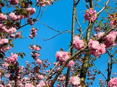 -苏州河梦清园环保主题公园