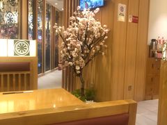 -胜博殿日式炸猪排(悠唐店)