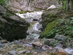 -牛背梁国家森林公园