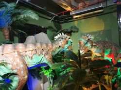 -恐龙探索乐园(磁器口店)