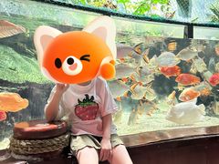 -太平洋海底世界