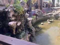 -漫渡庄绿岛花园•隐世庭园菜(滨湖店)