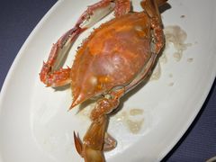 -高佳庄·海鲜酒楼(东港店)