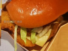 芝芝酪酪堡-麦当劳(东苑丽宝商业广场店)
