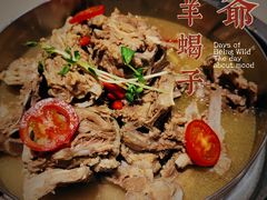 -浩爷羊蝎子火锅(望京店)