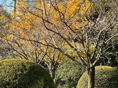 -静安公园(静安寺街道)
