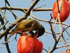 -杭州六谷生态休闲农庄有限公司