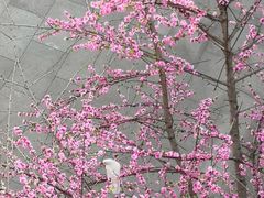 -龙口南山旅游景区