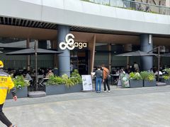 -gaga(深圳福田星河COCO Park店)