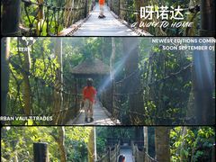 -呀诺达热带雨林
