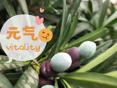 -滇铺子(欣都龙城店)