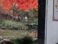 -秋霞圃